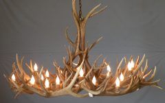 15 Best Collection of Antlers Chandeliers