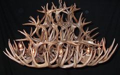 15 The Best Stag Horn Chandelier