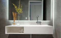 Top 20 of Bathroom Mirrors Lights