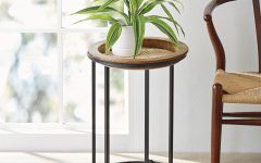 2024 Popular 15.5-Inch Plant Stands