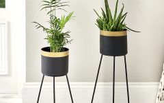 15 Collection of Black Plant Stands