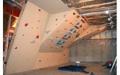 20 Inspirations Home Bouldering Wall Design
