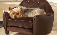 15 Ideas of Dog Sofas and Chairs