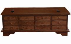 50 Collection of Large Coffee Table With Storage