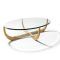 Oval Glass Coffee Tables