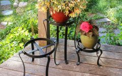 15 Ideas of Wrought Iron Plant Stands