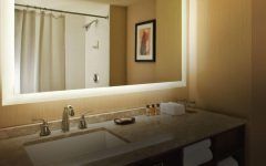 20 Best Collection of Large Illuminated Mirror
