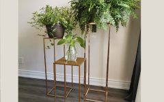 15 The Best Gold Plant Stands