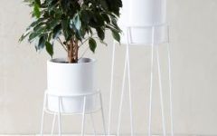 15 Collection of White Plant Stands