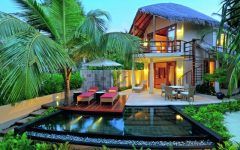 Palm Tree Home Backyard Design and Decor