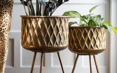 15 Best Collection of Brass Plant Stands
