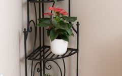 15 Ideas of Powdercoat Plant Stands